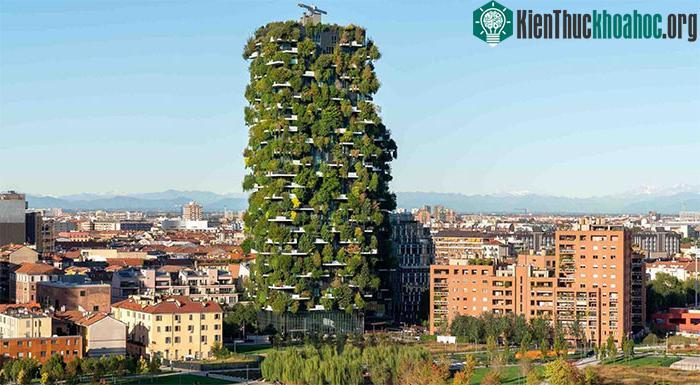 Bosco Vericale là một khu dân cư phức hợp độc đáo ở trung tâm của Milan, Ý
