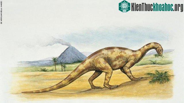 Tái tạo lại bộ não của loài khủng long tiết lộ những điều bất ngờ ảnh 0