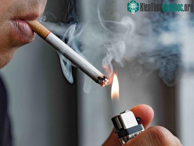 Cú lừa lớn nhất thuộc về Hội đồng Nghiên cứu Thuốc lá.