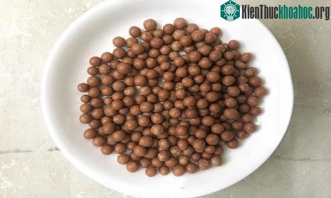 Phân bón nhả chậm giúp tiết kiệm 40% phân bón nhờ công nghệ bọc polyme