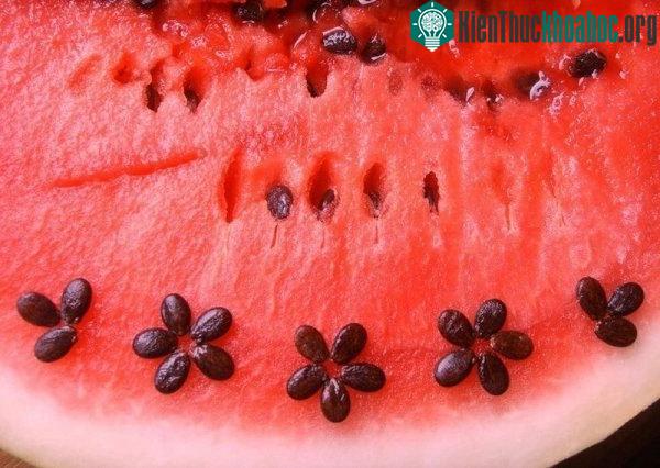 Chiết xuất từ hạt dưa hấu có thể cải thiện tình trạng ngứa da đầu.
