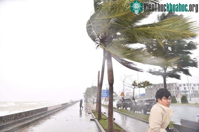 Bão Goni di chuyển nhanh khi vào biển Đông ảnh 1