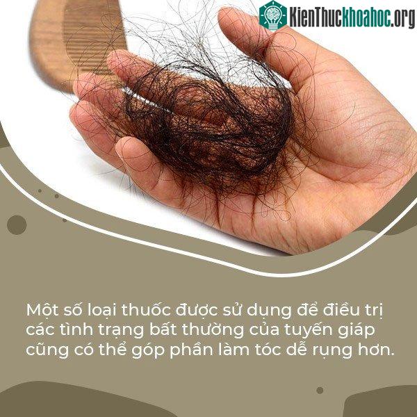 1 số thuốc điều trị tuyến giáp cũng có thể làm tóc dễ rụng hơn