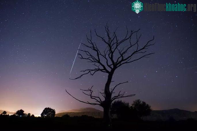 Mưa sao băng Leonids
