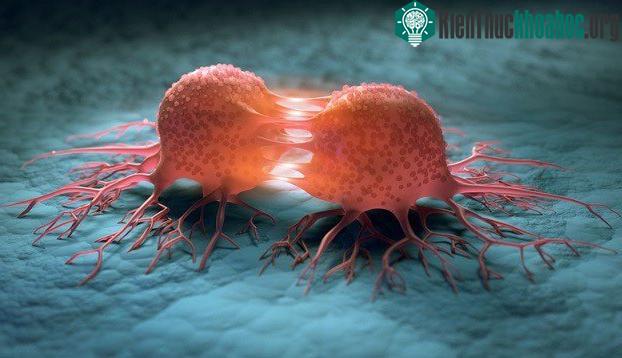 Các nhà khoa học Israel dùng kỹ thuật CRISPR để chữa ung thư