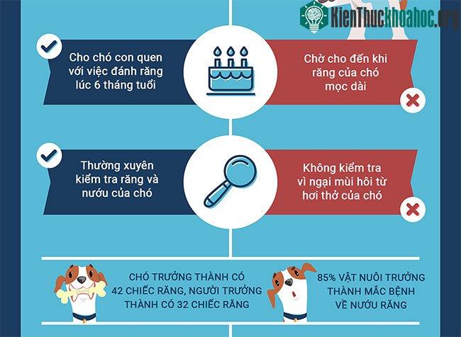 Những sai lầm khi nuôi chó mà bạn cần tránh ảnh 1