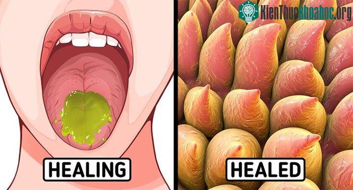 Bôi nước ép lô hội