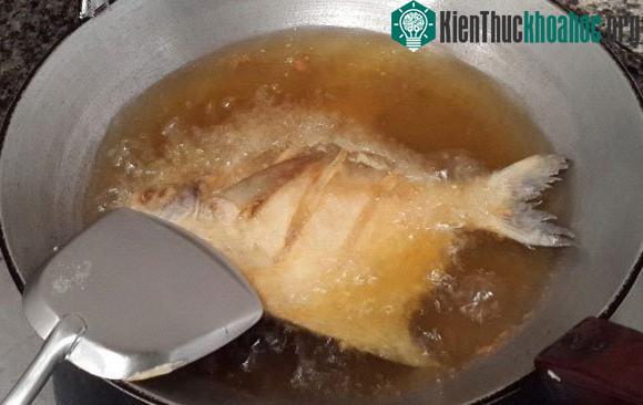 Cá chiên ngập dầu
