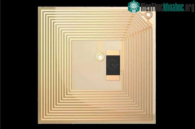 Cận cảnh vi chip Smart Nail.