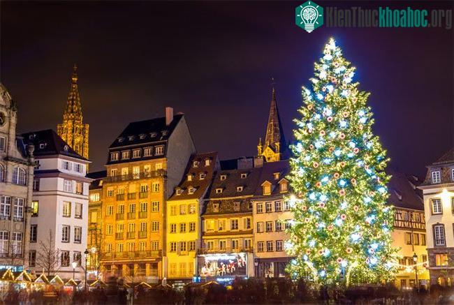 Cây thông tại quảng trường Strasbourg