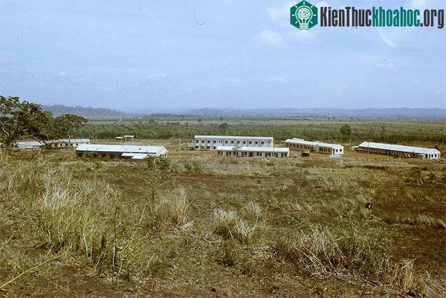 Xí nghiệp liên hiệp cà phê Việt Đức, chụp năm 1985.