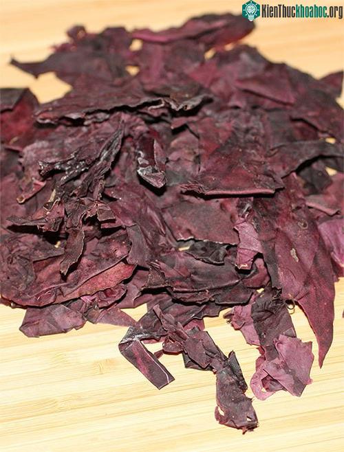 Rong biển dulse