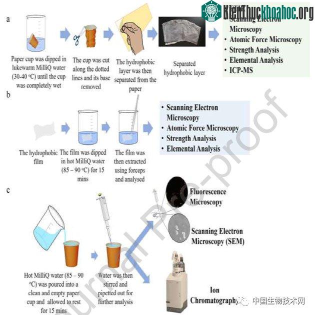 Các bước trong quy trình thử nghiệm.