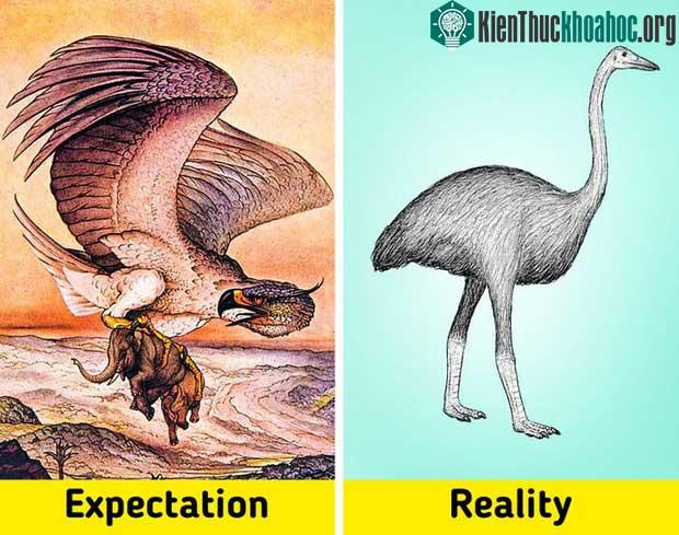 7 sinh vật huyền thoại tưởng chỉ có ở phim ảnh nhưng lại từng làm mưa làm gió Trái đất trong quá khứ ảnh 3