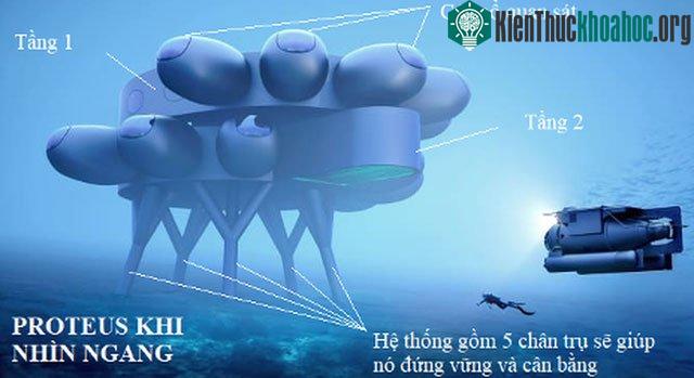 Thiết kế của Proteus.