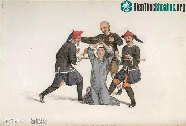 Hình phạt quen thuộc "Đào mộc giáp chỉ".