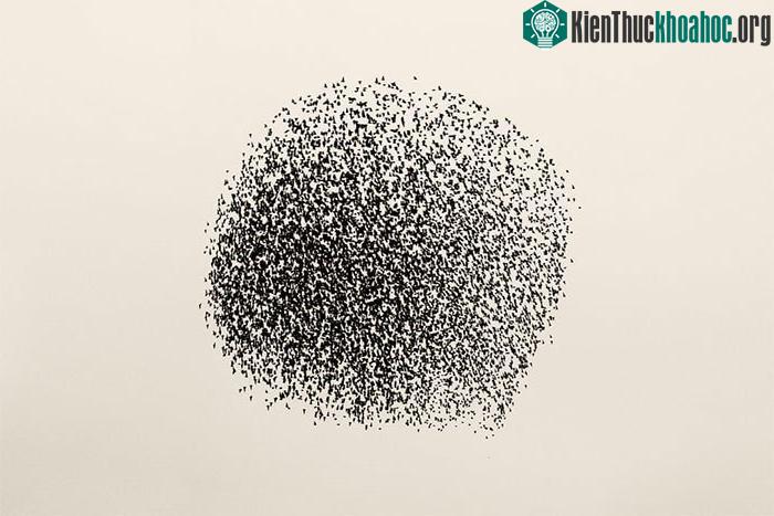 Hình dạng kỳ lạ như một mặt trời đen do bầy sáo đá tạo ra