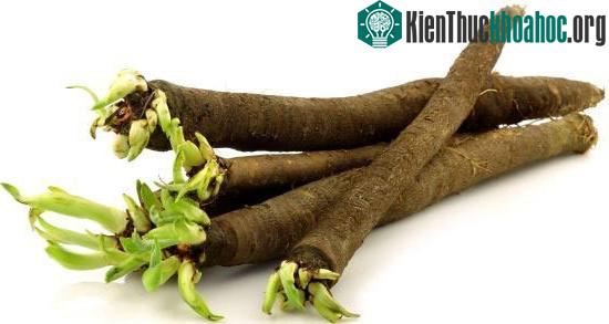 Cây củ hạ