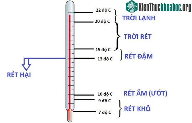 Phân loại các kiểu rét thường gặp.