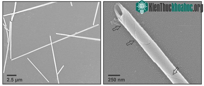 Vật liệu nano sau khi cuộn lại thành dạng ống.