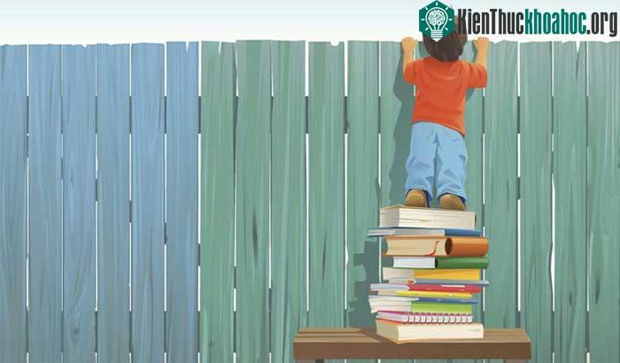 Sự tò mò ảnh hưởng đến tất cả mọi thứ của chúng ta.