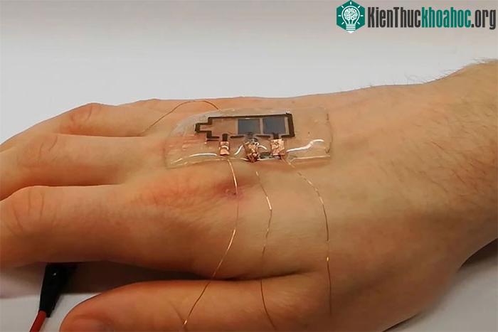 Màn hình phân hủy sinh học có thể được dán lên da người