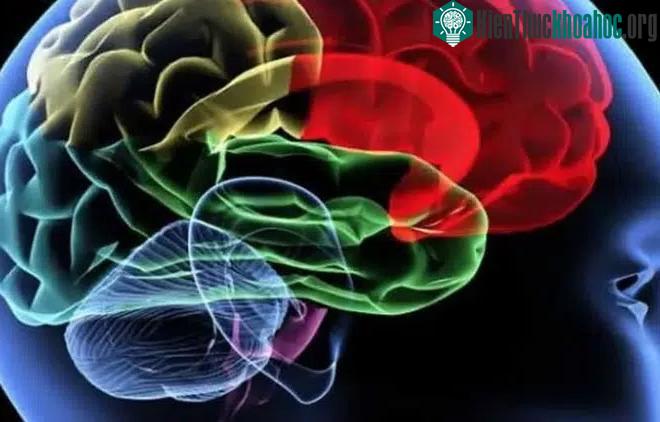Công nghệ này giúp bắt giữ kẻ giết người bằng cách nhìn sâu vào trong tâm trí của nghi phạm.