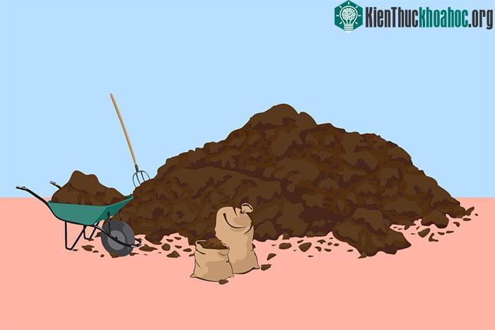 Phản ứng của con người cho rằng phân động vật ghê tởm