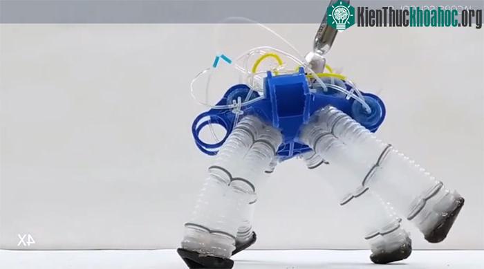 Robot bước đi giống rùa không cần mạch điện tử.