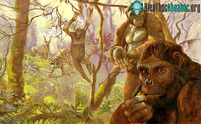 Ảnh đồ họa mô tả thế giới 4,4 triệu năm về trước với những vượn nhân hình đầu tiên