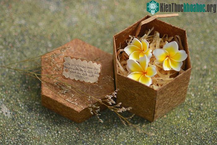 Sinh viên Việt Nam làm giấy từ thân cây chuối ảnh 1