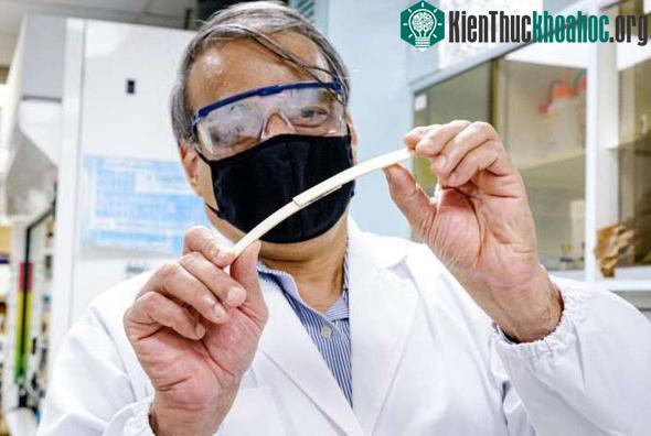 Giáo sư Raju uốn cong hai thanh gỗ được dính lại với nhau bằng keo magnetocuring