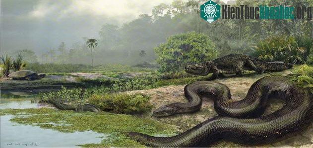 Titanoboa được thực hiện trong thập kỷ đầu tiên của thế kỷ XXI