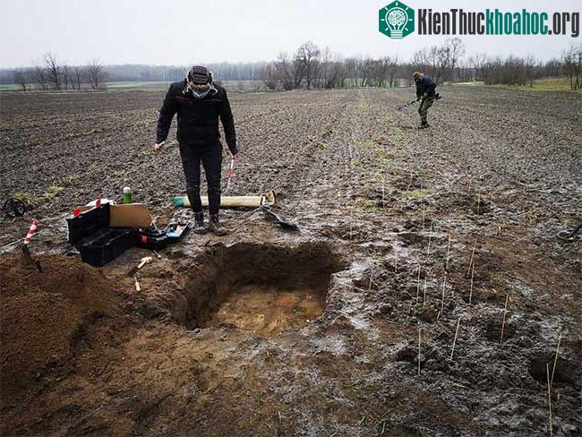 Kho báu tiền cổ đã được khai quật trong một trang trại ở Hungary.&nbsp;