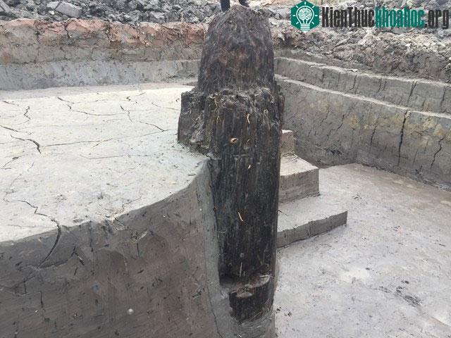 Các cột gỗ lớn được chôn thẳng hàng với khoảng cách đều nhau.