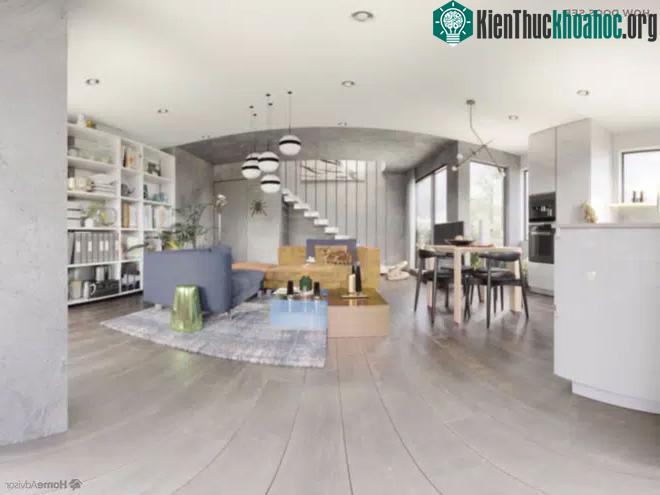Tầm nhìn của một con chó,
