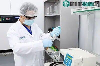 Chiếc khẩu trang Wakamono không chỉ diệt virus 99% từ trải nghiệm mà còn được kiểm chứng tại các phòng kiểm nghiệm độc lập khác nhau trên thế giới