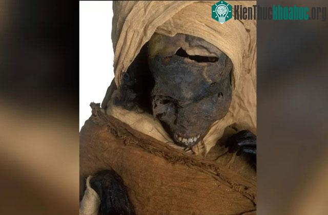 Xác ướp của pharaoh Seqenenre Taa II được tìm thấy vào những năm 1880.