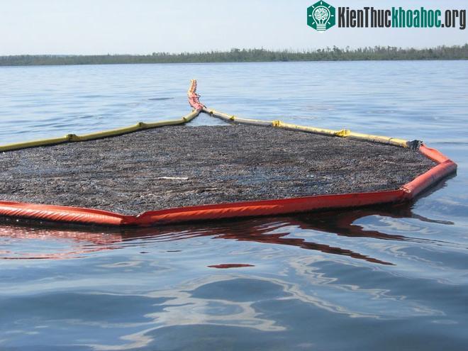Thực chất, đó là dàn phao trên biển để chắn rác, ngăn dầu lan rộng.