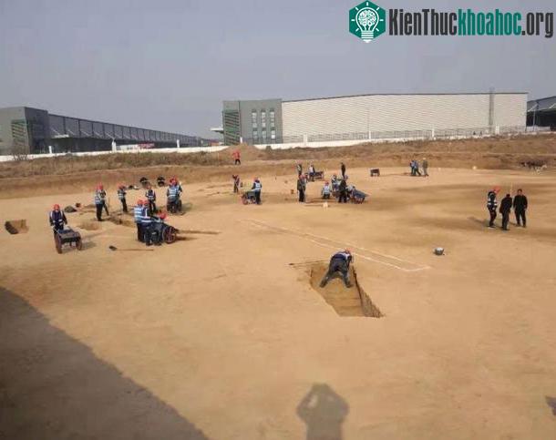 Các nhà khảo cổ đang làm việc ngày đêm