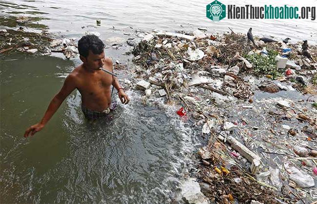 Các dòng sông ô nhiễm là một trong những nguyên nhân làm suy giảm số lượng cá nước ngọt