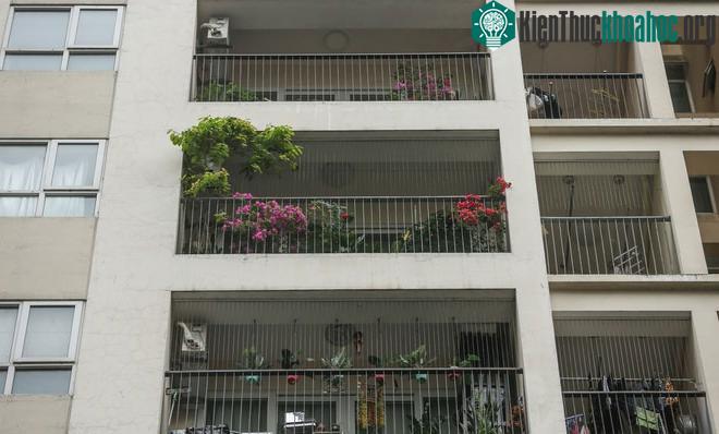 Lắp lưới ban công thì nên lắp bằng vật liệu dễ cắt bỏ