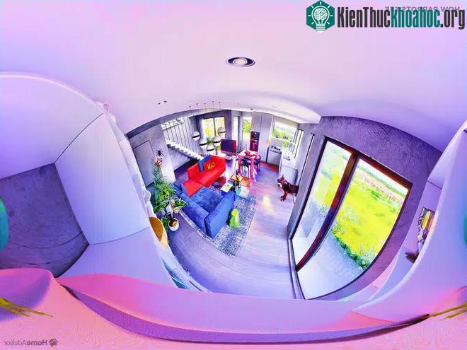 Tầm nhìn của loài vẹt.