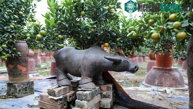 Giá của những bình này giao động từ 2 - 3 triệu đồng