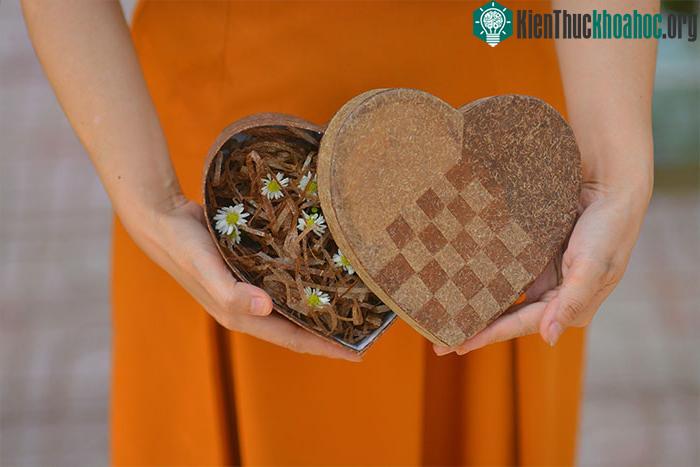 Sinh viên Việt Nam làm giấy từ thân cây chuối ảnh 2