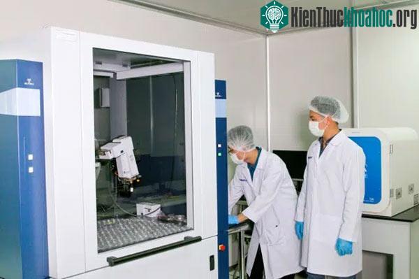 Khẩu trang Wakamono được kiểm chứng có khả năng tiêu diệt các loại virus khác