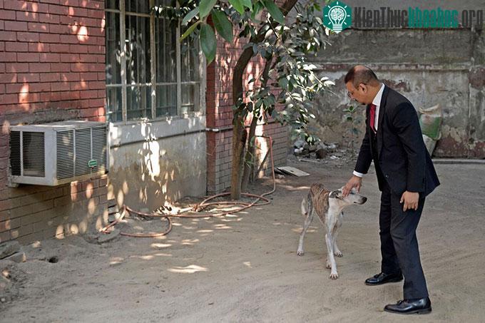 Amin vuốt ve chú chó Sarail của mình tại nhà riêng.