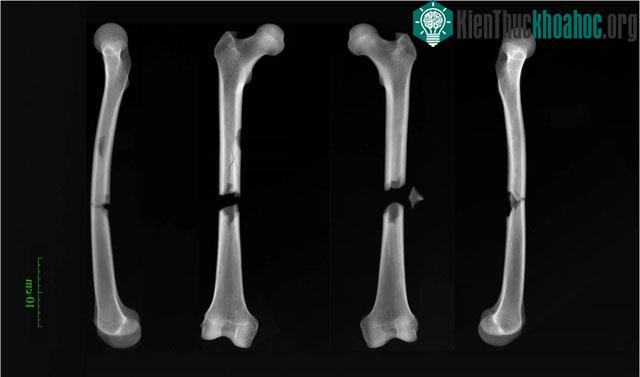 Tất cả các nghĩa địa này đều nằm trong trung tâm thành phố lịch sử
