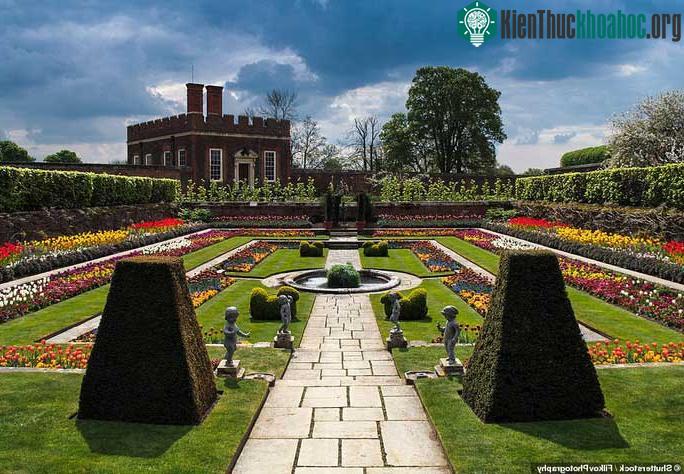 Cung điện Hampton Court