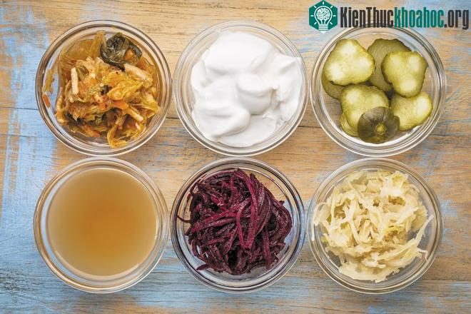 Thực phẩm giàu probiotics